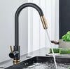 #1588 2 TONE BLACK & GOLD PULL-OUT KITCHEN FAUCET WITH DUAL SPRAY HEAD