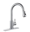#1587 CHROME PULL-OUT KITCHEN FAUCET DUAL SPRAY HEAD WITH STOP FEATURE