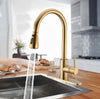 #1564 BRUSHED GOLD PULL-OUT KITCHEN FAUCET WITH DUAL SPRAY HEAD