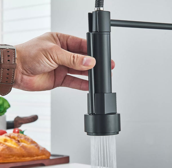 #1599 MATTE BLACK SPRING 2 FUNCTION KITCHEN FAUCET