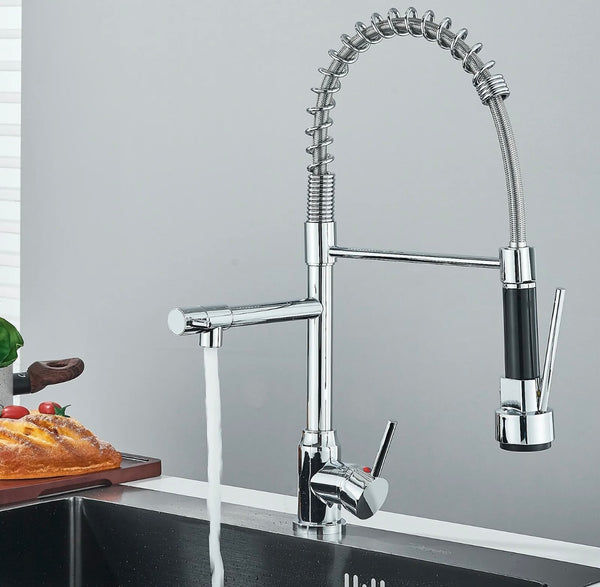 #1598 CHROME SPRING 2 FUNCTION KITCHEN FAUCET