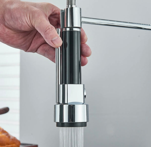 #1598 CHROME SPRING 2 FUNCTION KITCHEN FAUCET