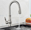 #1594 BRUSHED NICKEL PULL-OUT KITCHEN FAUCET WITH DUAL SPRAY HEAD