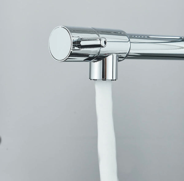 #1598 CHROME SPRING 2 FUNCTION KITCHEN FAUCET