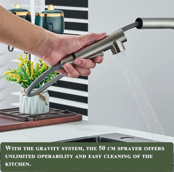 #1565 BRUSHED NICKEL PULL-OUT KITCHEN FAUCET WITH DUAL SPRAY HEAD