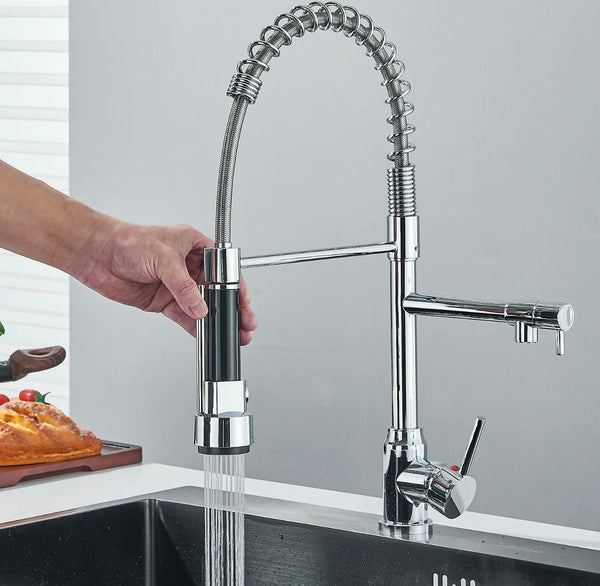 #1598 CHROME SPRING 2 FUNCTION KITCHEN FAUCET