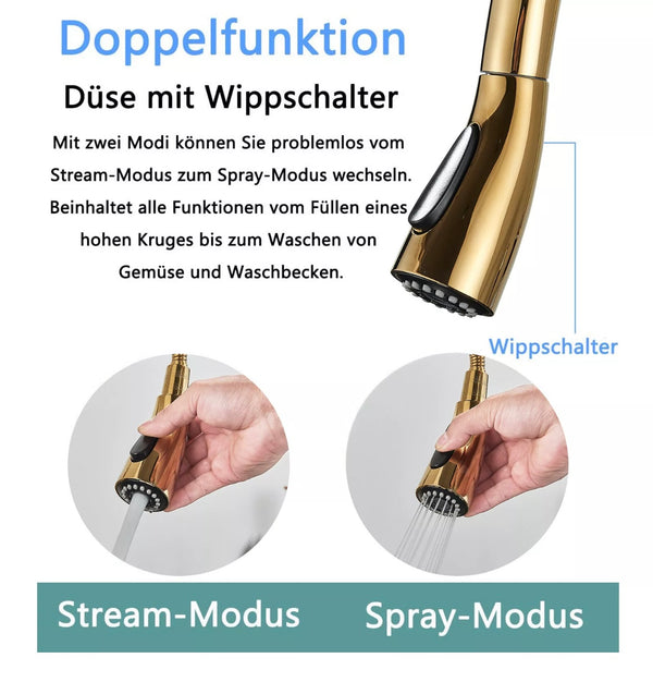 #1595 GOLD PULL-OUT KITCHEN FAUCET WITH DUAL SPRAY HEAD