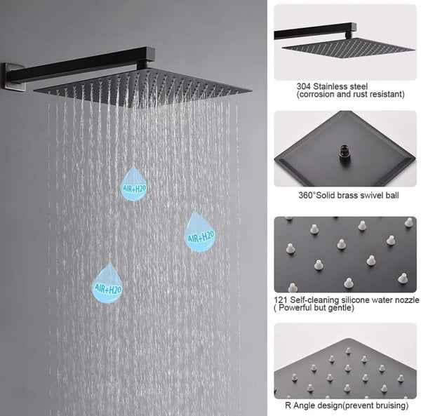 #1005 12-INCH MATTE BLACK 2 FUNCTION SHOWER SET