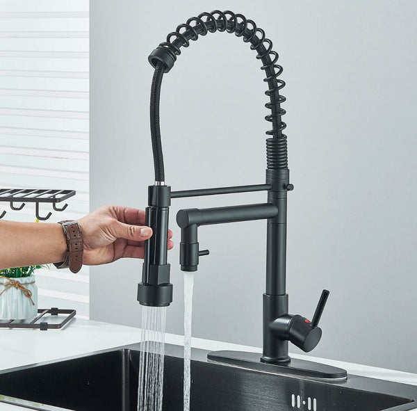 #1561 MATTE BLACK SPRING 2-FUNCTION PULL-DOWN KITCHEN FAUCET