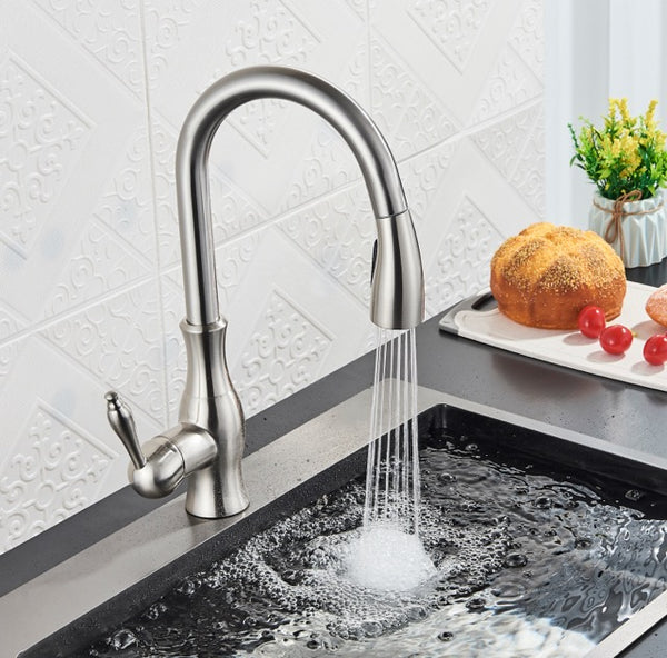 #1594 BRUSHED NICKEL PULL-OUT KITCHEN FAUCET WITH DUAL SPRAY HEAD