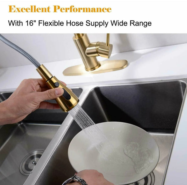 #1564 BRUSHED GOLD PULL-OUT KITCHEN FAUCET WITH DUAL SPRAY HEAD